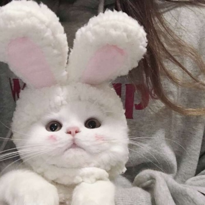 心丿丶已死忆8科24